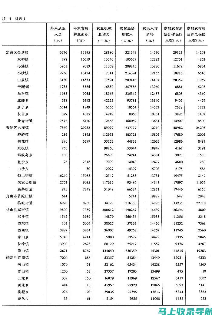 乡镇统计站站长职业前景与发展路径探讨